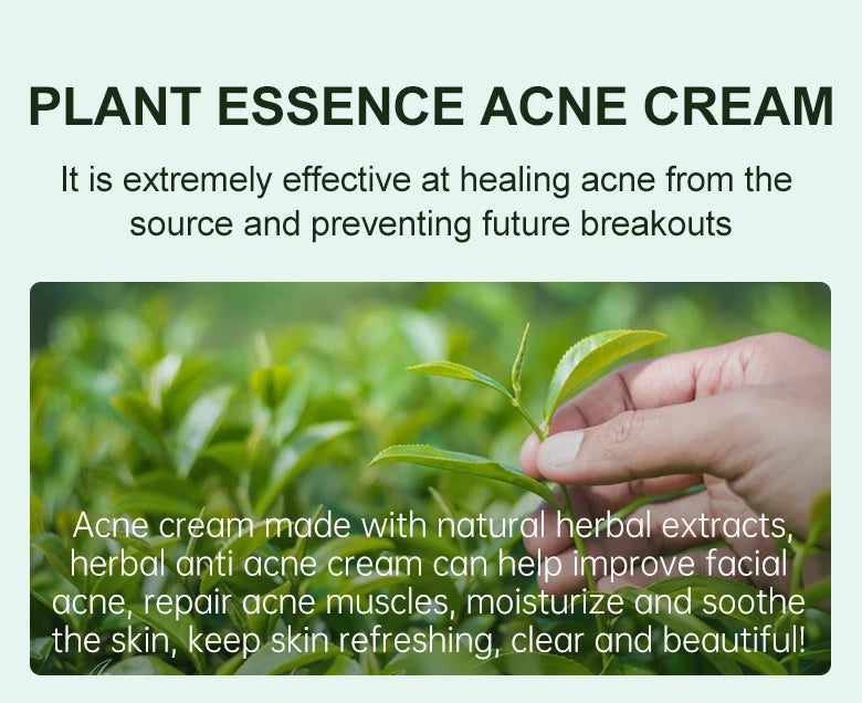 Herbal Acne Treatment Cream – Pore Shrinking & Oil Control