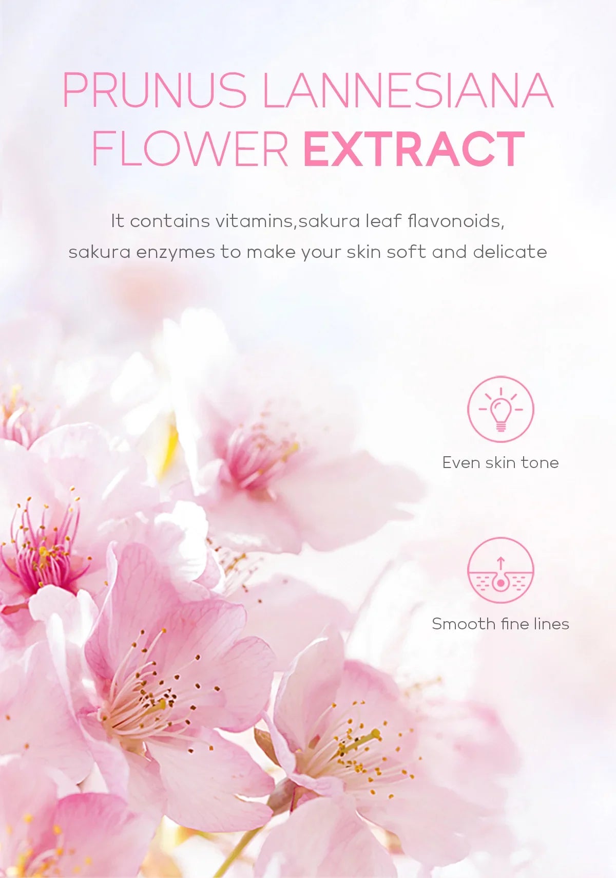 Sakura Face Deep Cleaning Exfoliating Gel Skin Care Whitening Moisturizer Repair Facial Scrub Skin Care 60g