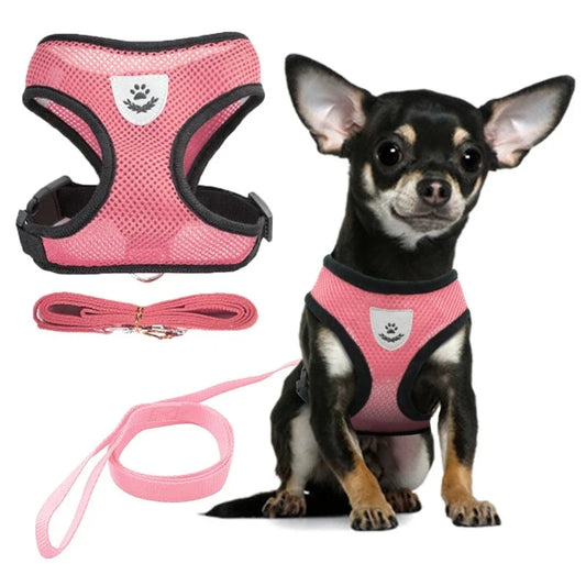 Summer Cat Dog Harness Lead Leash Adjustable Vest